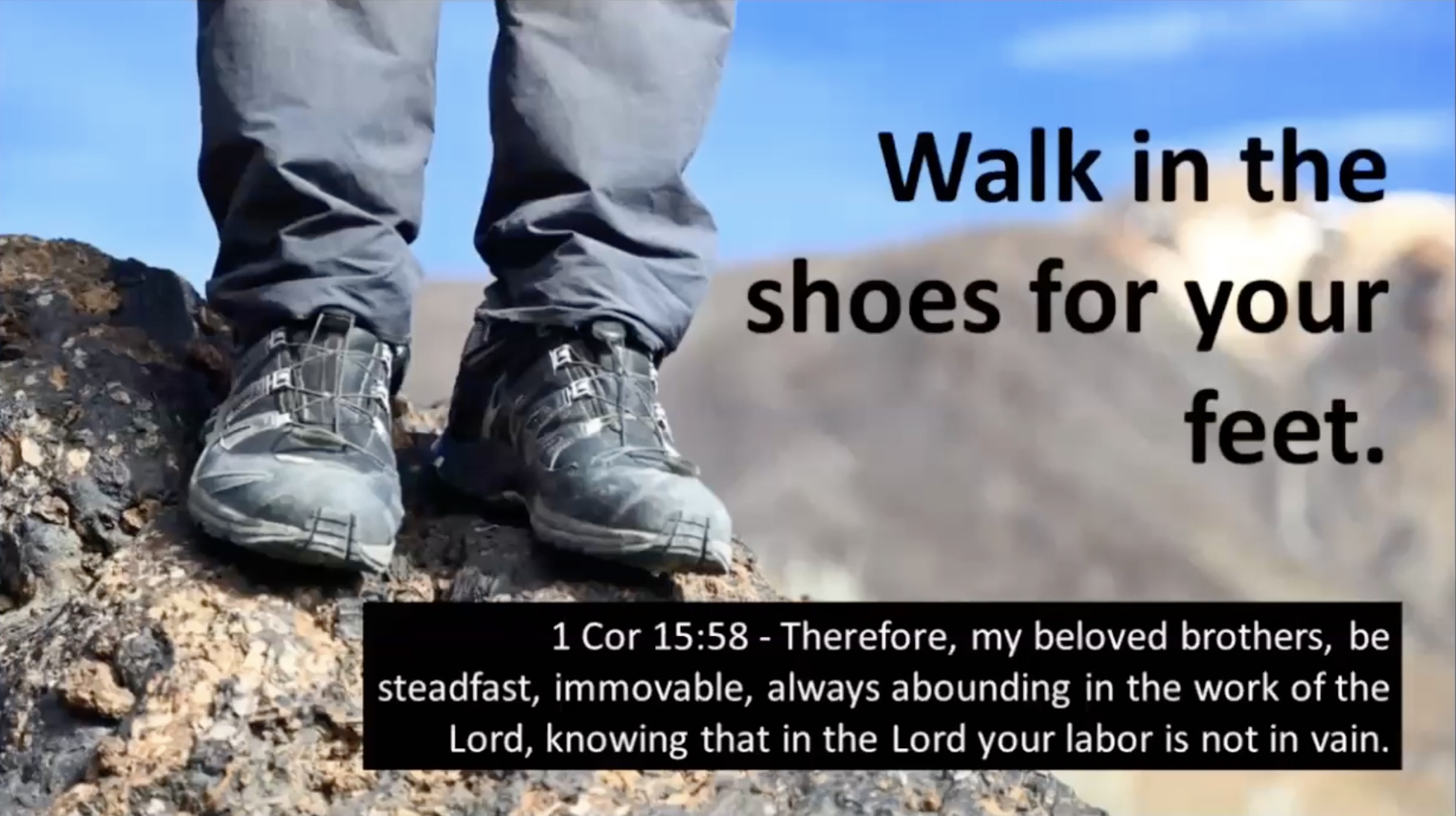 Walk in the Shoes for your Feet